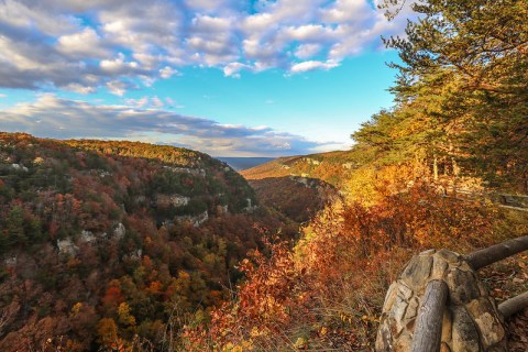 The Best Times And Places To View Fall Foliage In Georgia