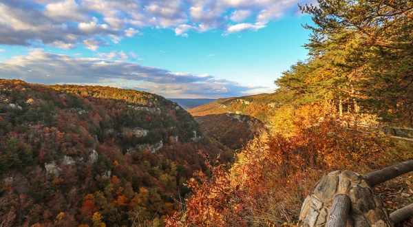 The Best Times And Places To View Fall Foliage In Georgia