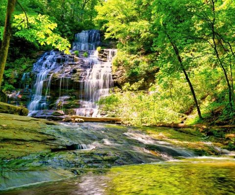 Escape To Station Cove Falls For A Beautiful South Carolina Nature Scene