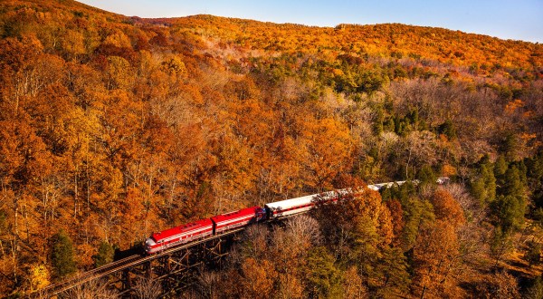 The Best Times And Places To View Fall Foliage In Kentucky