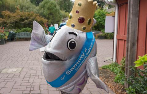 Celebrate The Pacific Northwest At This Fishy Fall Festival In Washington