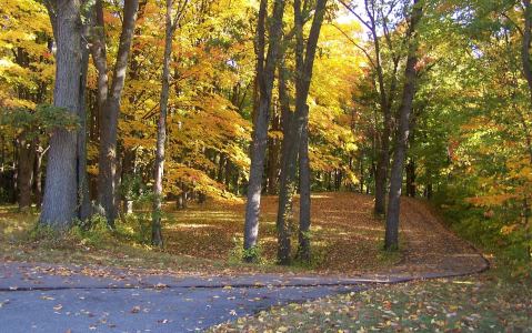 If You're A Fan Of Fall Foliage, You Simply Must Explore Hidden Lake Gardens In Michigan