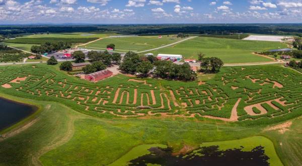 Get Lost In These 9 Awesome Corn Mazes In South Carolina This Fall