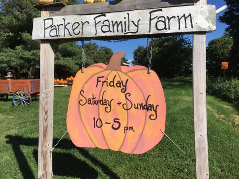 Head To This Vermont Farm For Unique-Looking Pumpkins, Seasonal Fruit And So Much More! 