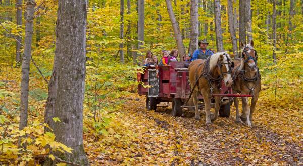 Knaebe’s Apple Farm In Michigan Serves Cider, Wood-Fired Pizza, And Classic Fall Fun