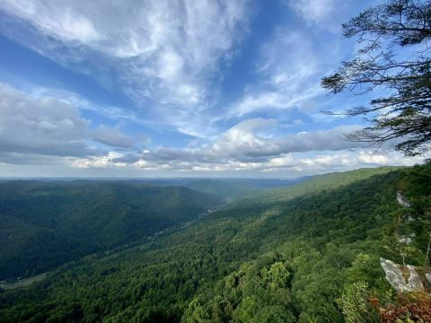 The Gorgeous Little Hikes On Kentucky's Pine Mountain That Will Lead You To Endless Views
