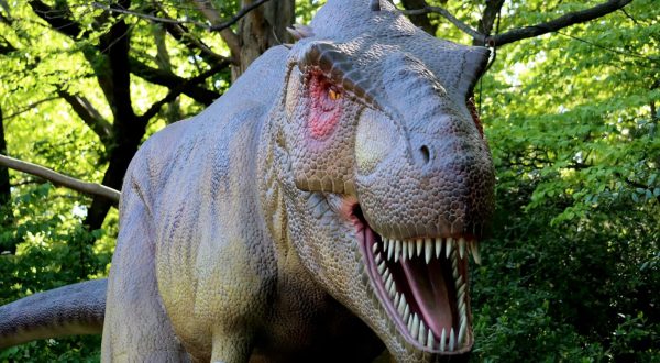 Journey Back To Prehistoric Times At The Big Time Dinosaur Exhibit At The Philadelphia Zoo