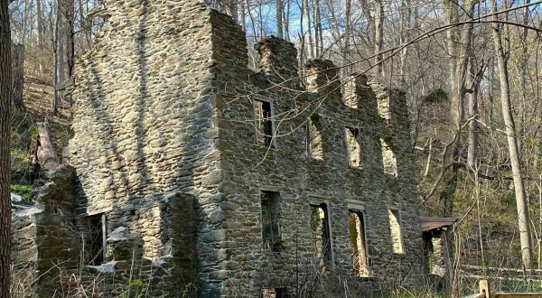 A Mysterious Woodland Trail In Pennsylvania Will Take You To Tenement House Ruins