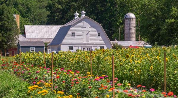 Pick Your Own Fruit And Flowers At This Charming Farm Hiding In Virginia