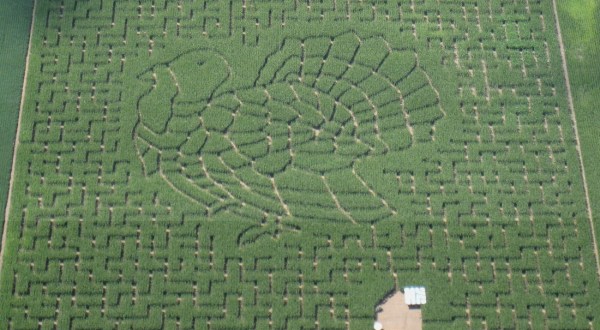 The Heartland Country Corn Maze In South Dakota Is A Classic Fall Tradition