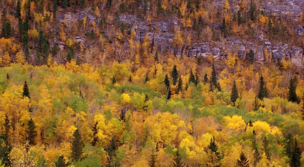 When And Where To Expect South Dakota’s Fall Foliage To Peak This Year