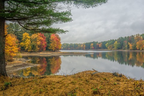 When And Where To Expect Connecticut's Fall Foliage To Peak This Year