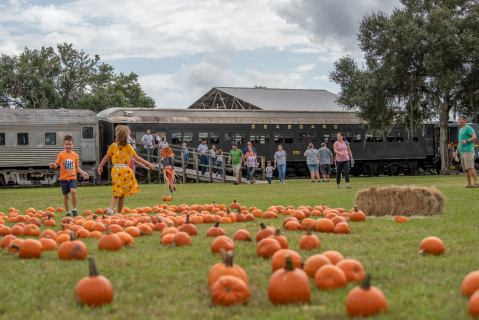 The Pumpkin Patch Limited Train Ride In Florida Is Scenic And Fun For The Whole Family