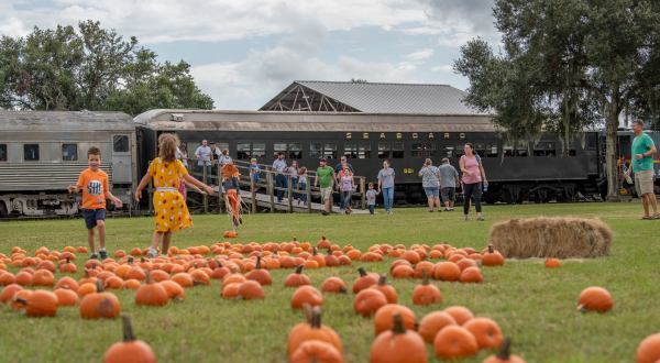 The Pumpkin Patch Limited Train Ride In Florida Is Scenic And Fun For The Whole Family