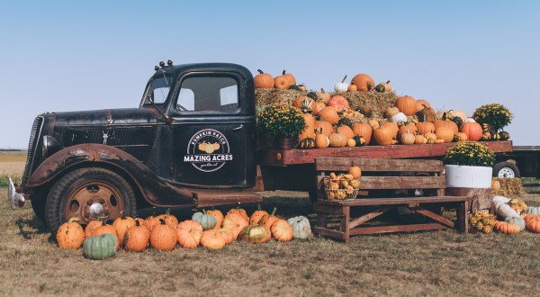 It’s Never Too Early To Take A Trip To The Mazing Acres Pumpkin Patch In South Dakota
