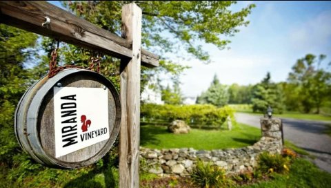 The Remote Winery In Connecticut That's Picture Perfect For A Day Trip