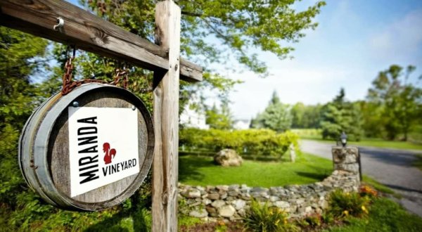 The Remote Winery In Connecticut That’s Picture Perfect For A Day Trip