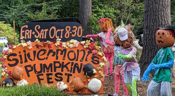 6 Pumpkin Festivals You Won’t Want To Miss In North Carolina This Fall