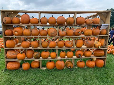 An Autumn Trip To Abbott Farms In New York Is A Classic Fall Tradition