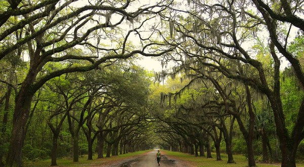 There’s Nothing Quite As Magical As The Tunnel Of Trees You’ll Find At Wormsloe Historic Site In Georgia
