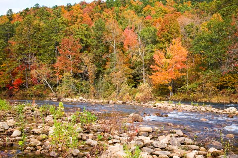 When And Where To Expect Alabama's Fall Foliage To Peak This Year