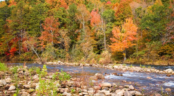When And Where To Expect Alabama’s Fall Foliage To Peak This Year