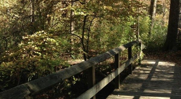 Explore over 5 Miles Of Trails At The Scenic Walter B Jacobs Park In Louisiana