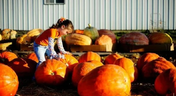 The Quirky Missouri Town That Transforms Into A Pumpkin Wonderland Every Fall