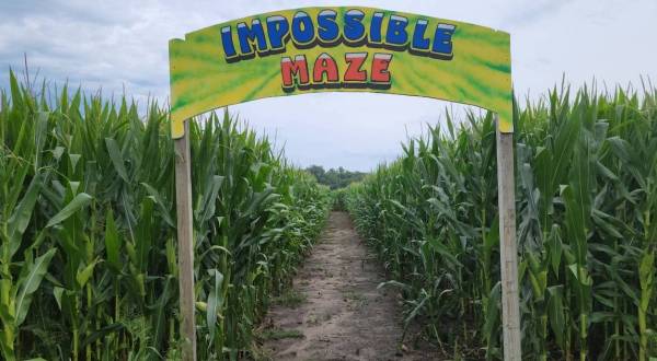 Get Lost In These 7 Awesome Corn Mazes In Wisconsin This Fall