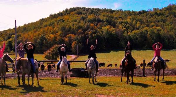 Take A Fall Foliage Trail Ride On Horseback At The Spotted Horse Ranch In Ohio