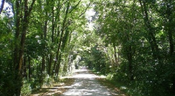 There’s Nothing Quite As Magical As The Tunnel Of Trees You’ll Find At Katy Trail State Park In Missouri