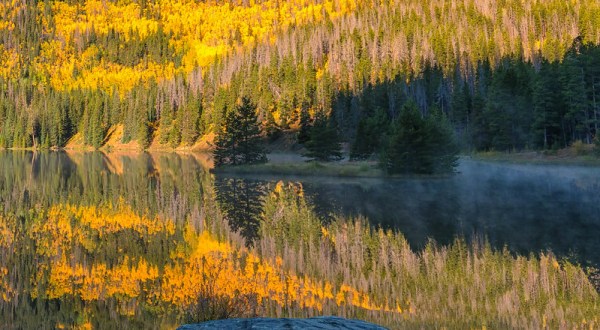 When And Where To Expect Colorado’s Fall Foliage To Peak This Year