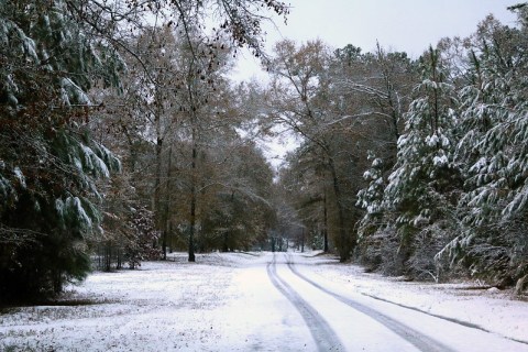Get Ready To Bundle Up, The Farmers' Almanac Is Predicting Below Average Temperatures This Winter In Alabama