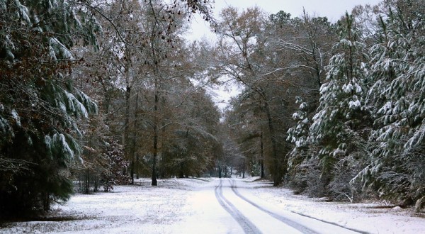 Get Ready To Bundle Up, The Farmers’ Almanac Is Predicting Below Average Temperatures This Winter In Alabama