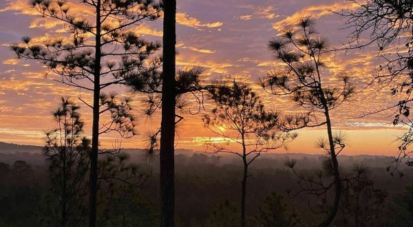 The Backbone Trail In Louisiana Takes You From Forests to Vista Views And Back