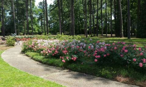 Stop And Smell Over 20,000 Roses At This Unique Garden In Louisiana