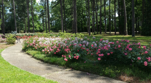 Stop And Smell Over 20,000 Roses At This Unique Garden In Louisiana