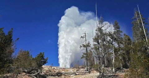 The World's Largest Active Geyser Is Bubbling Away In Wyoming