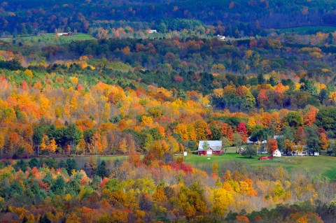 When And Where To Expect New York's Fall Foliage To Peak This Year