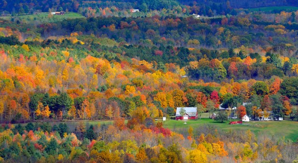 When And Where To Expect New York’s Fall Foliage To Peak This Year