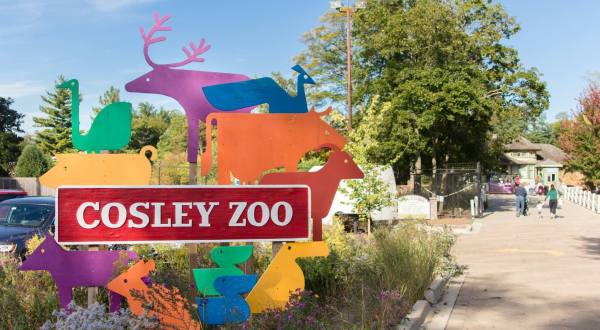 Cosley Zoo Is A Small Zoo Located On The Property Of A Former 1800s Train Station In Illinois