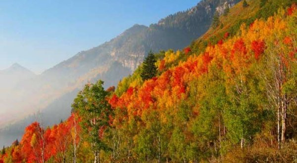 When And Where To Expect Utah’s Fall Foliage To Peak This Year