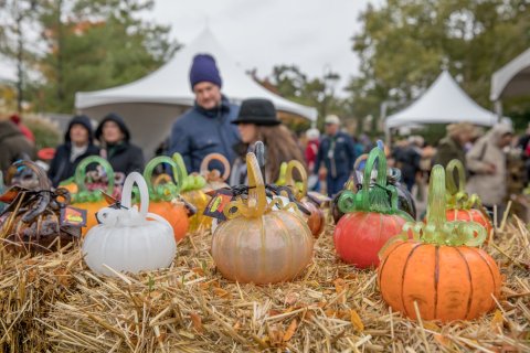 Illinois' Morton Arboretum Will Host Its Annual Glass Pumpkin Patch This October