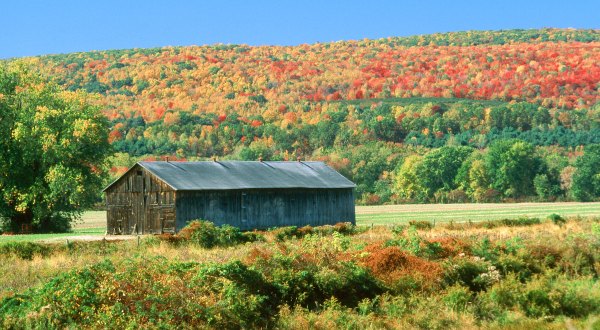 Take This Gorgeous Fall Foliage Road Trip To See Massachusetts Like Never Before