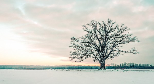 Get Ready To Bundle Up, The Farmers’ Almanac is Predicting Freezing Cold Temperatures This Winter In Missouri