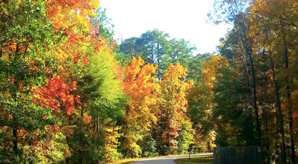 When And Where To Expect Louisiana’s Fall Foliage To Peak This Year