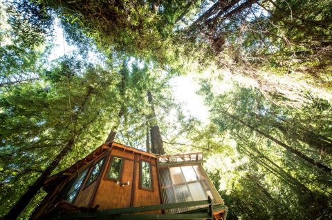 This Glamping Treehouse In Southern California Is The Treehouse Getaway Adults Will Love