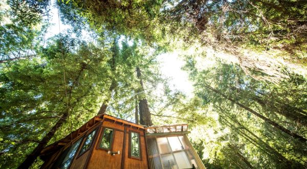 This Glamping Treehouse In Southern California Is The Treehouse Getaway Adults Will Love