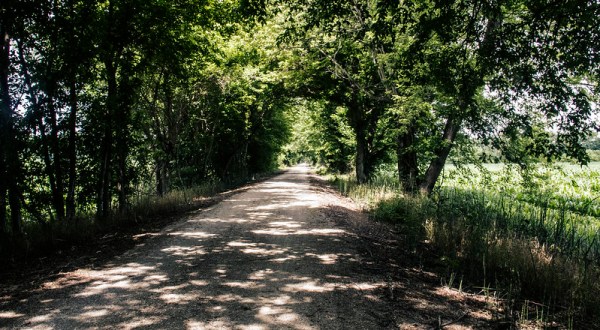 The Longest Rail Trail In The U.S., Katy Trail In Missouri Is A Bucket List Adventure