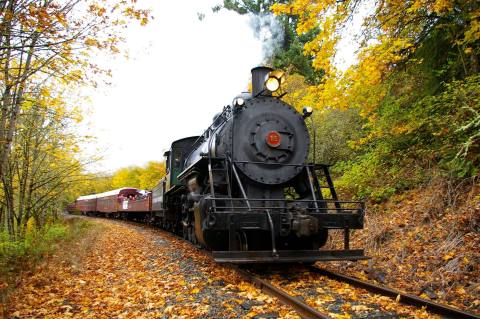 The Pumpkin Train Ride In Washington Is Scenic And Fun For The Whole Family